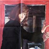 Original poster 60x80 cm red desert 1964 Michelangelo Antonioni Monica Vitti