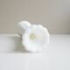 Opaline glass solifleur