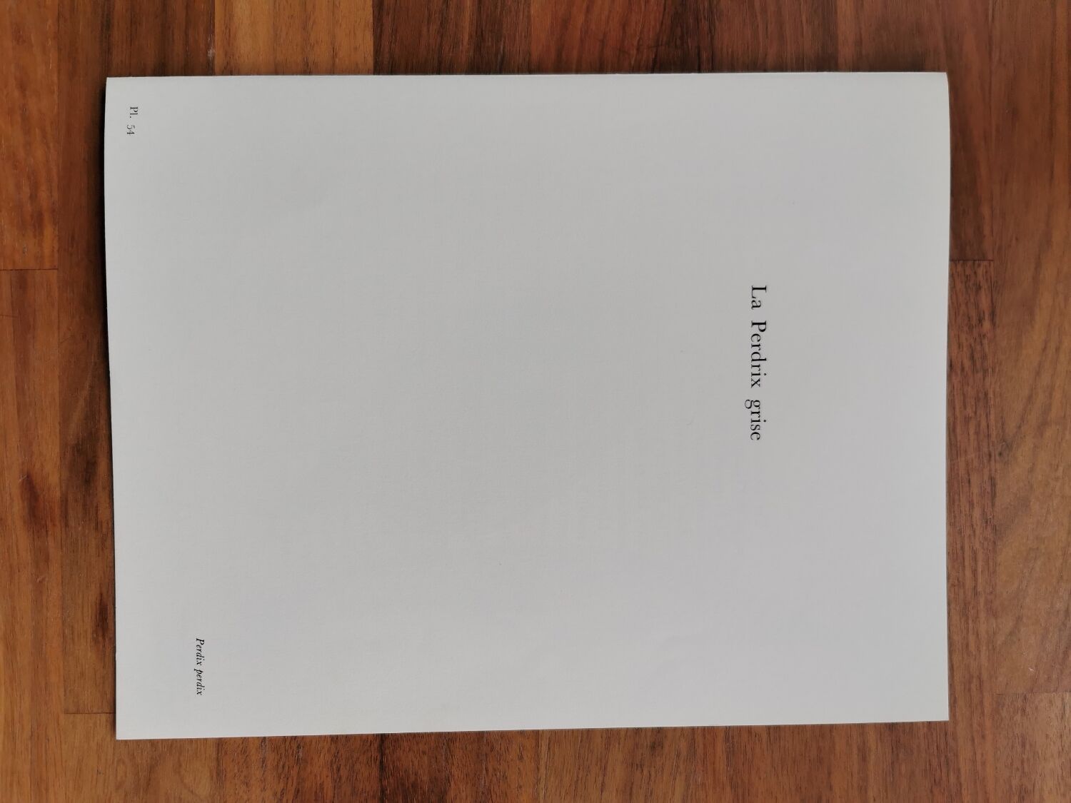 Ancient zoological plate