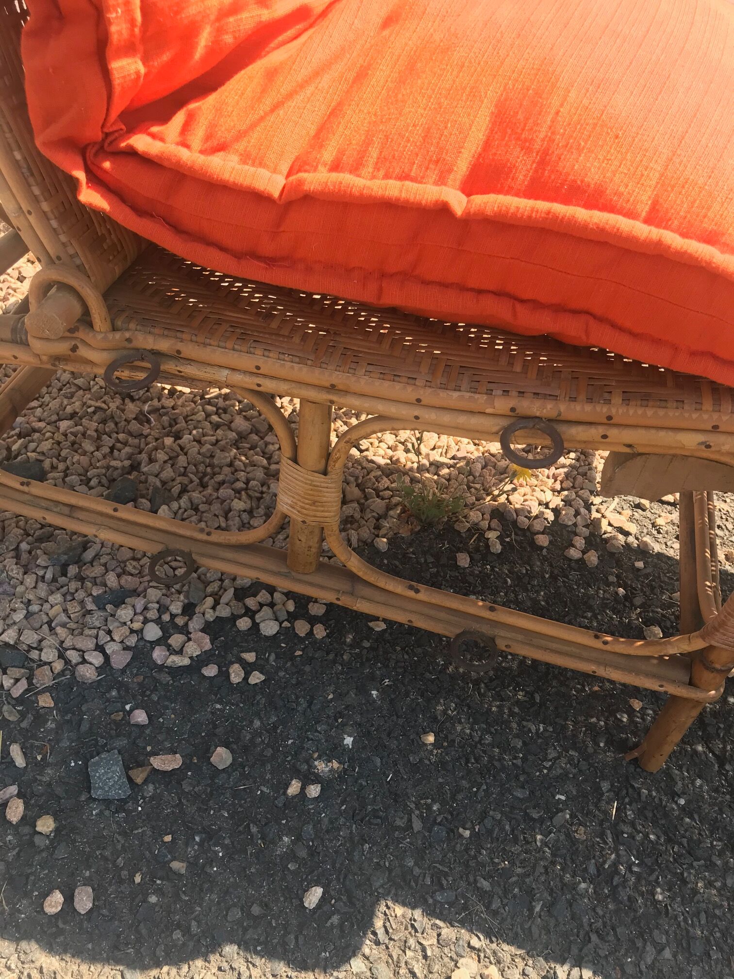 Rattan long chair and cushion