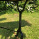 Table en marbre