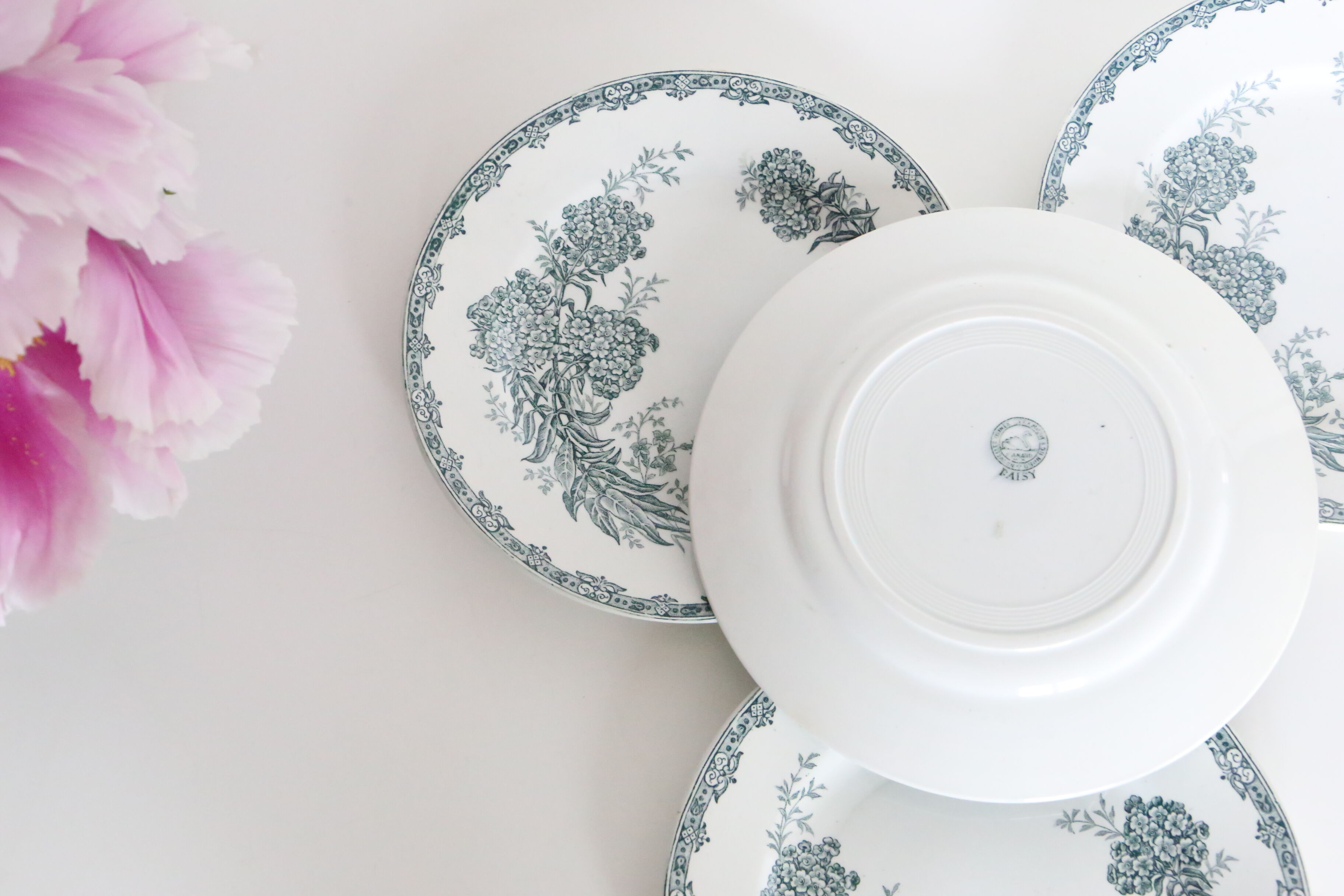 Set of 4 flat plates Terre de Fer, Saint Amand, Daisy
