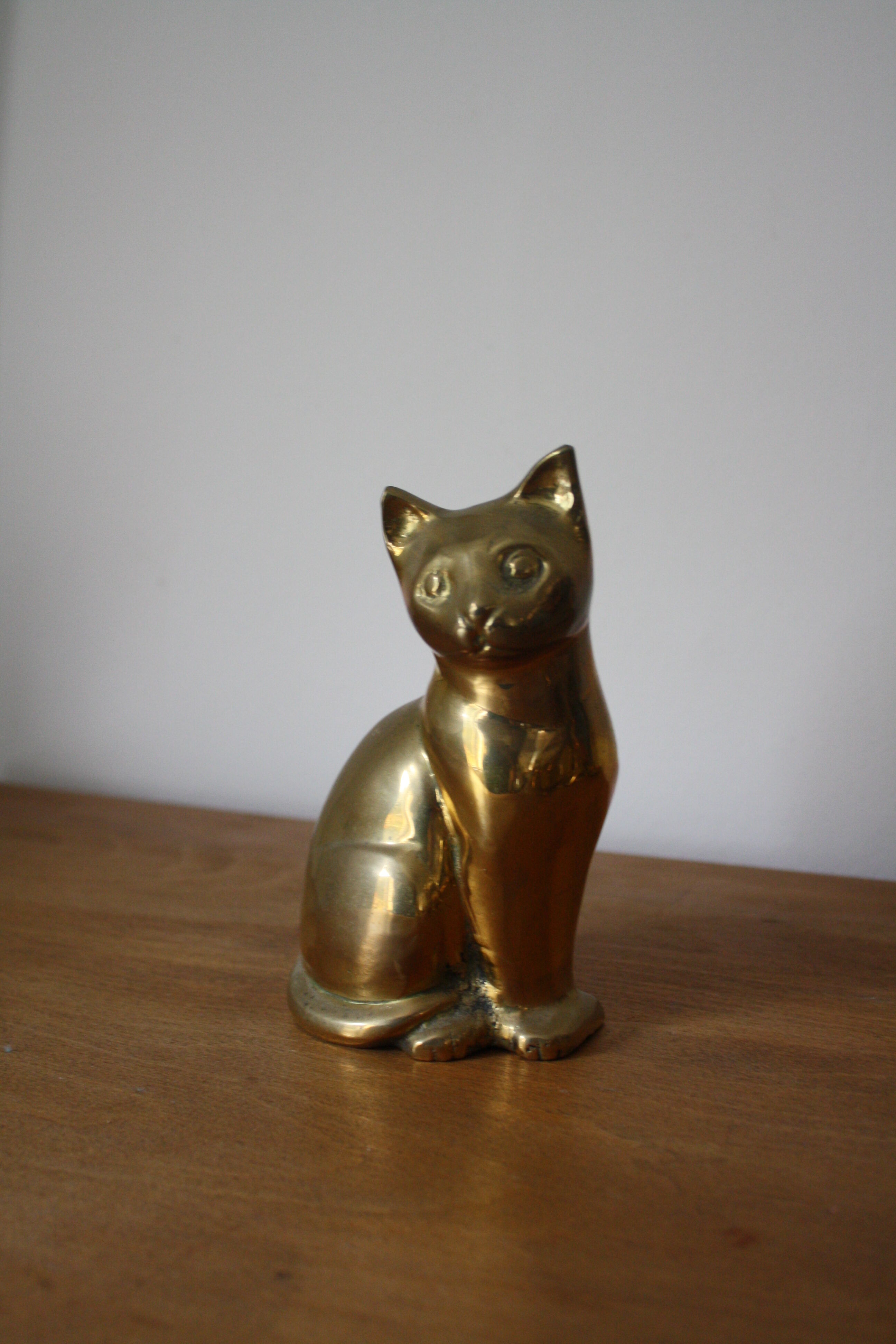 Cat sitting in brass