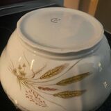 Fine porcelain salad bowl