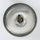 Applique Space Age par Honsel Leuchten en aluminium doré, Flush Light