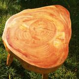 Vintage raw wood table