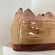Signed Organic Glazed Terracotta Plant Pot / Planter