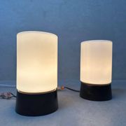 2x vintage ceiling lamp – bakelite and opaline