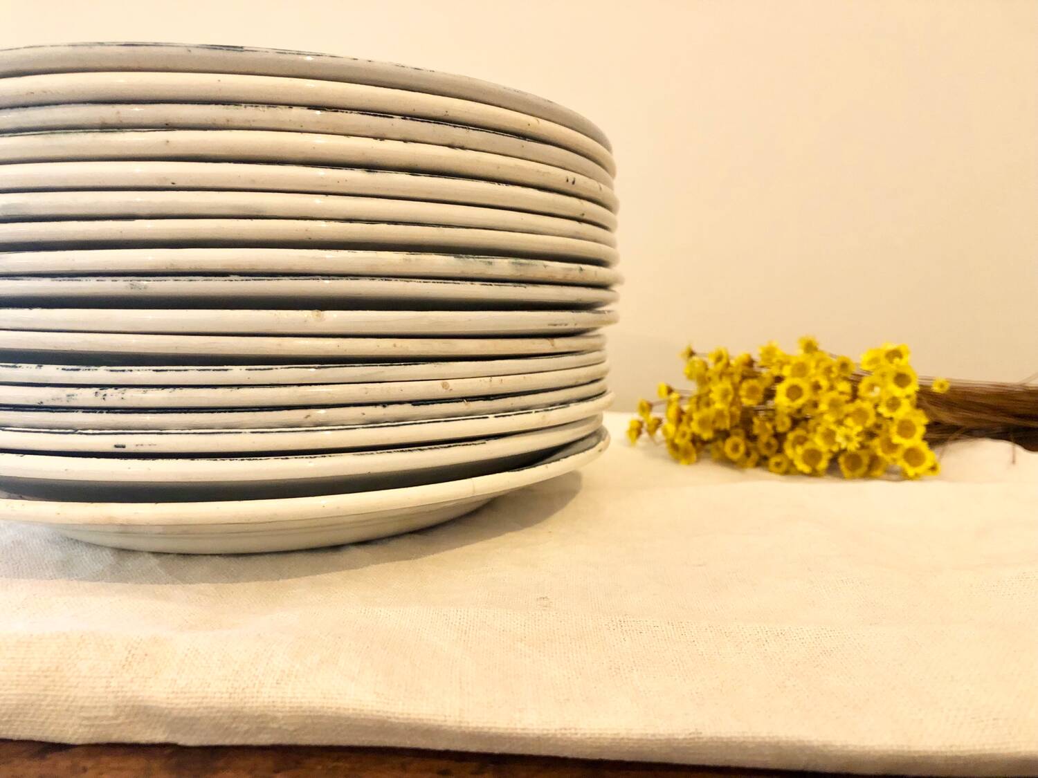 Saint Amandinoise ironstone plate set
