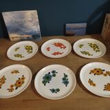 flat plates Arcopal flower lotus dp 0123240 Old vintage Set of 6 flea marketspiritdantan
