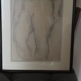 Drawing by Suzanne Tourte