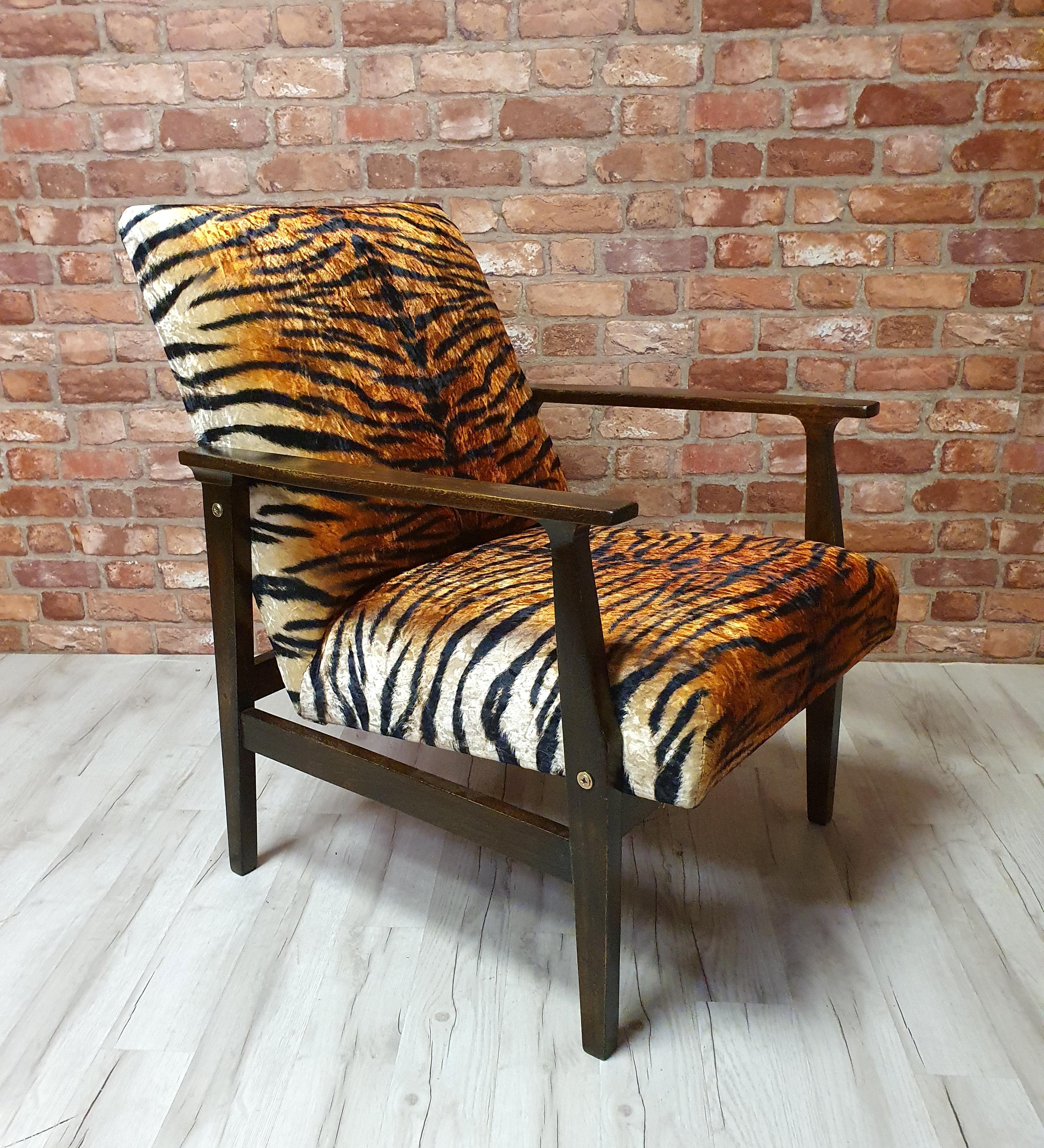 Renovated armchair BW-14, Tiger, Poland 1960s