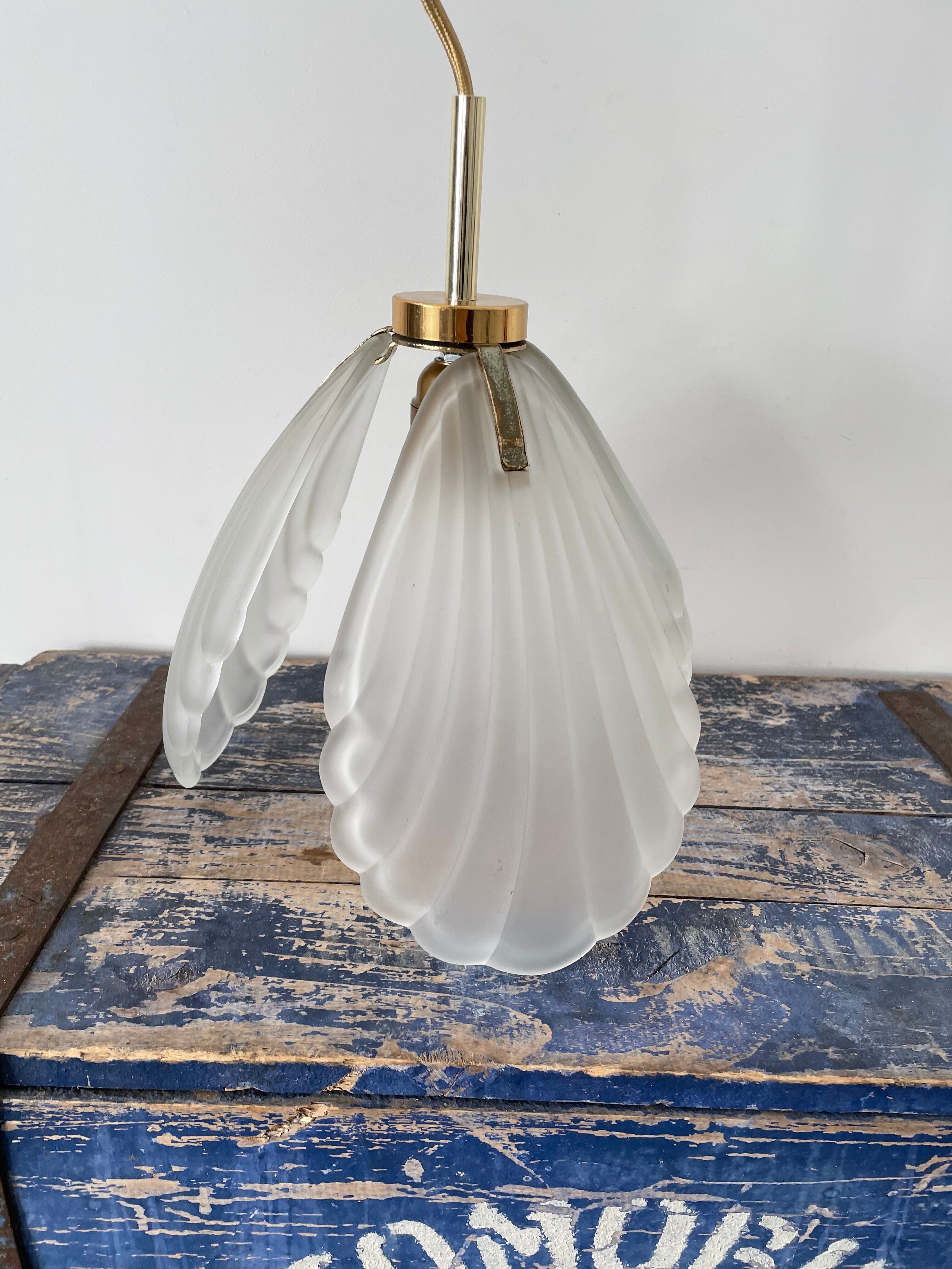 Shell suspension or shell in new electrified glass paste