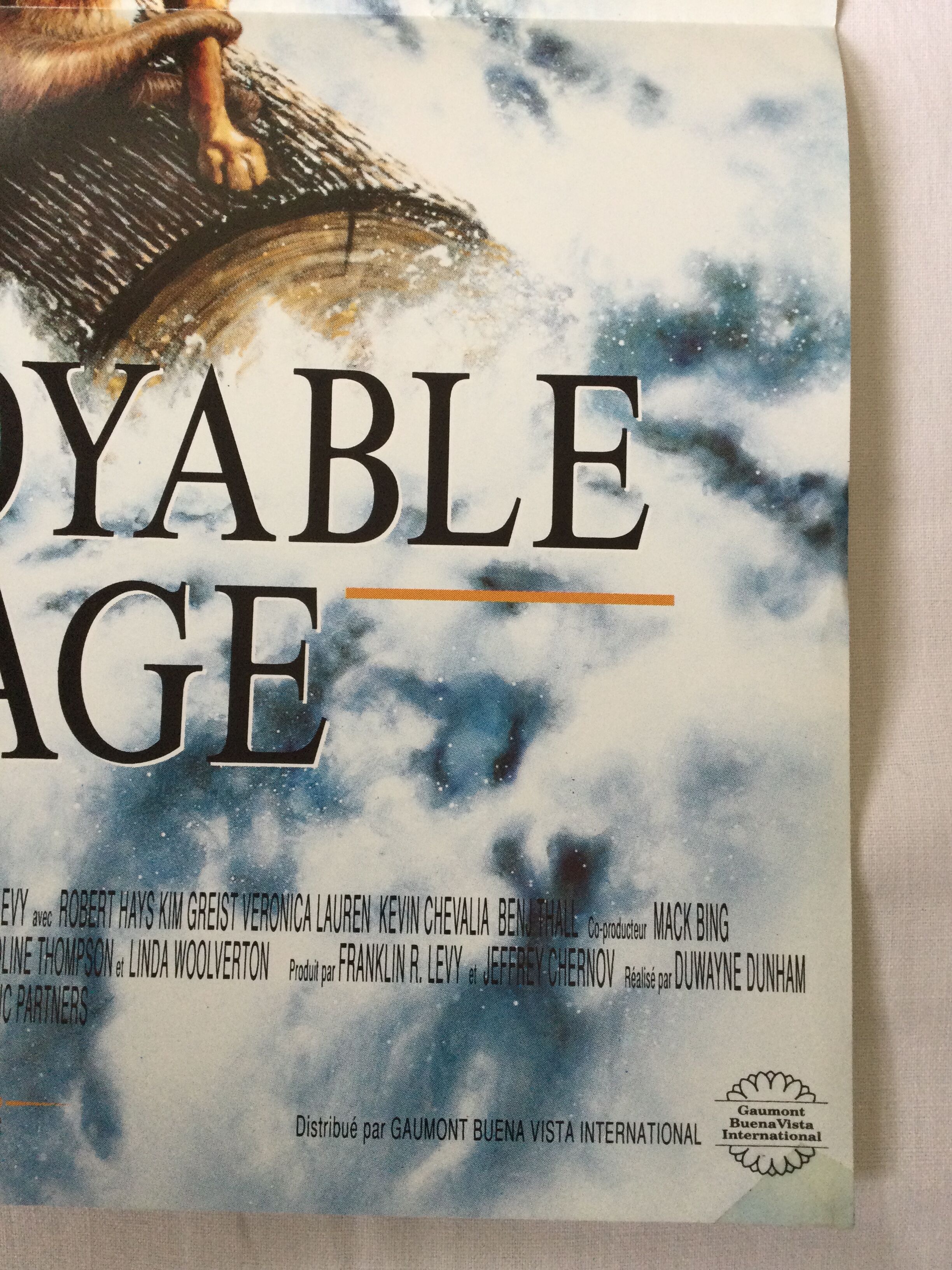 Poster of the film "The Incredible Journey"