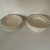 Iron earth soup plates