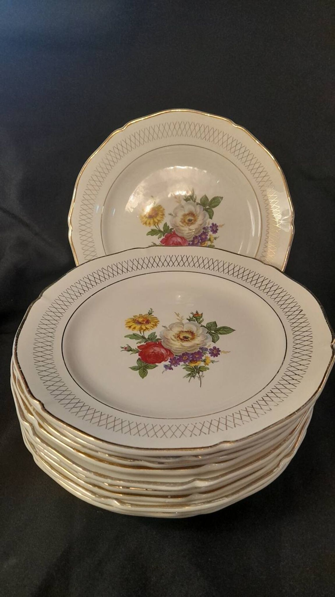 Set of 11 Ceranor St Amand Semi Vitrified Sapho plates