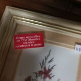 5 herbariums, framed floral arrangement