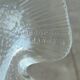 New vintage Arcoroc fish plates in original box