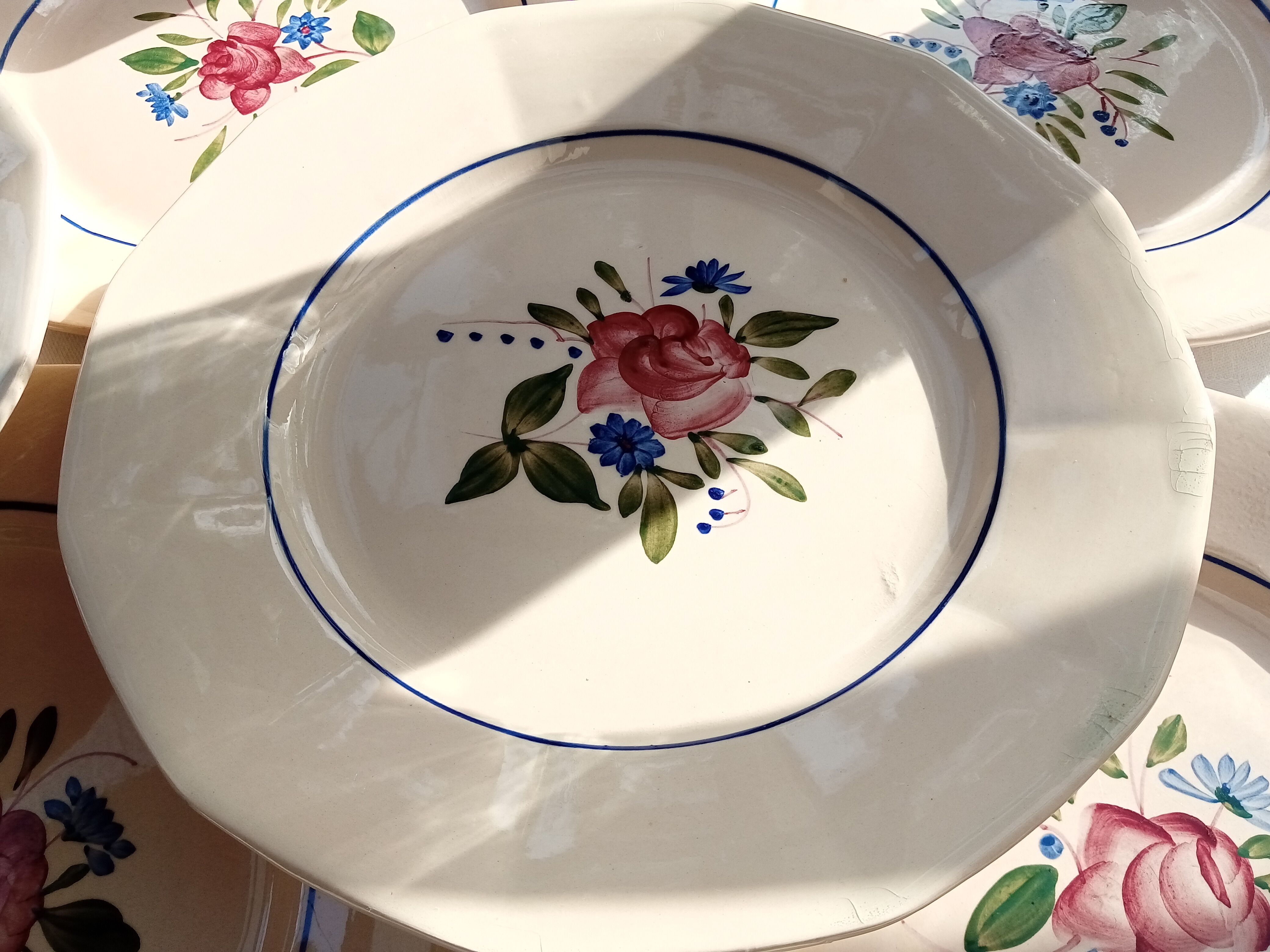 12 flat plates Digoin