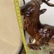 Ceramic stag hubert bequet