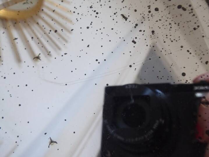 Table mirror on a brass easel