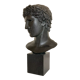 Athlete's head winner Greco Roman antiquities Louvre Museum