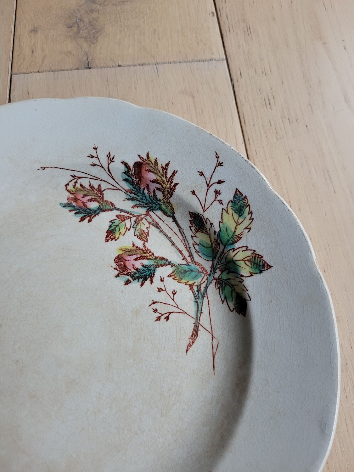 Pexonne FF flat plate