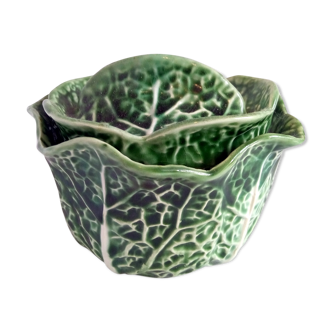 Pot in dabbling cabbage leaf