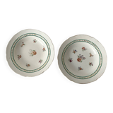 Pair of deep plates Sarreguemines — antique earthenware, floral decoration