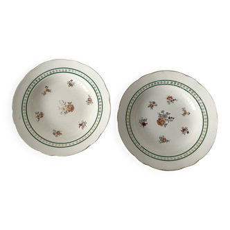 Pair of deep plates Sarreguemines — antique earthenware, floral decoration