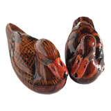 Couple of ducks
