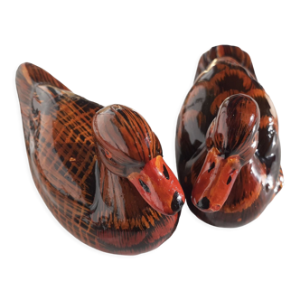 Couple of ducks
