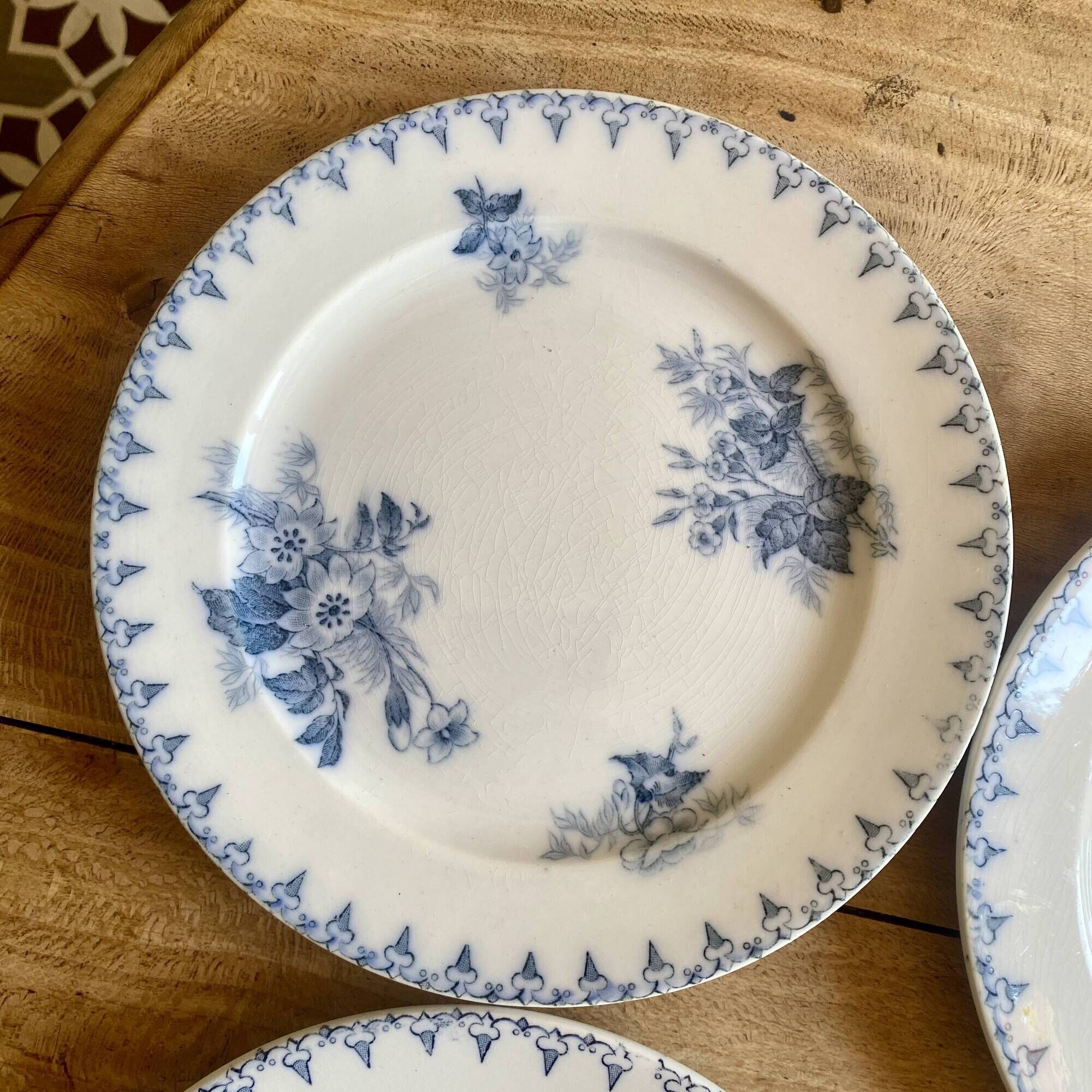 Set of 6 old dessert plates - Flore de Sarreguemines