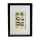 Original zoological plate " Kinkajou - Chinche - Coasse - &c... " Buffon (1836)
