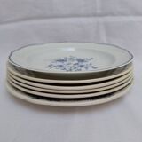Vintage blue dinner plates