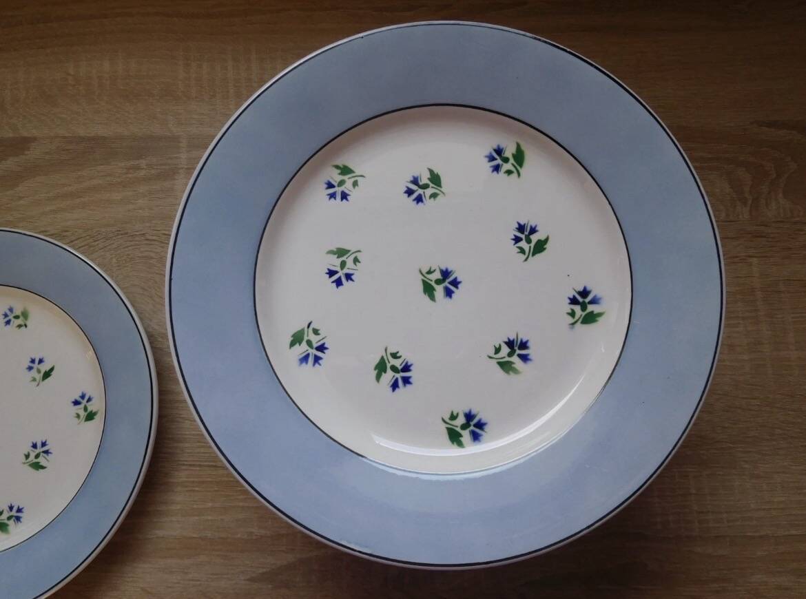 Flat plates Digoin Sarreguemines model Albe