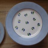 Flat plates Digoin Sarreguemines model Albe