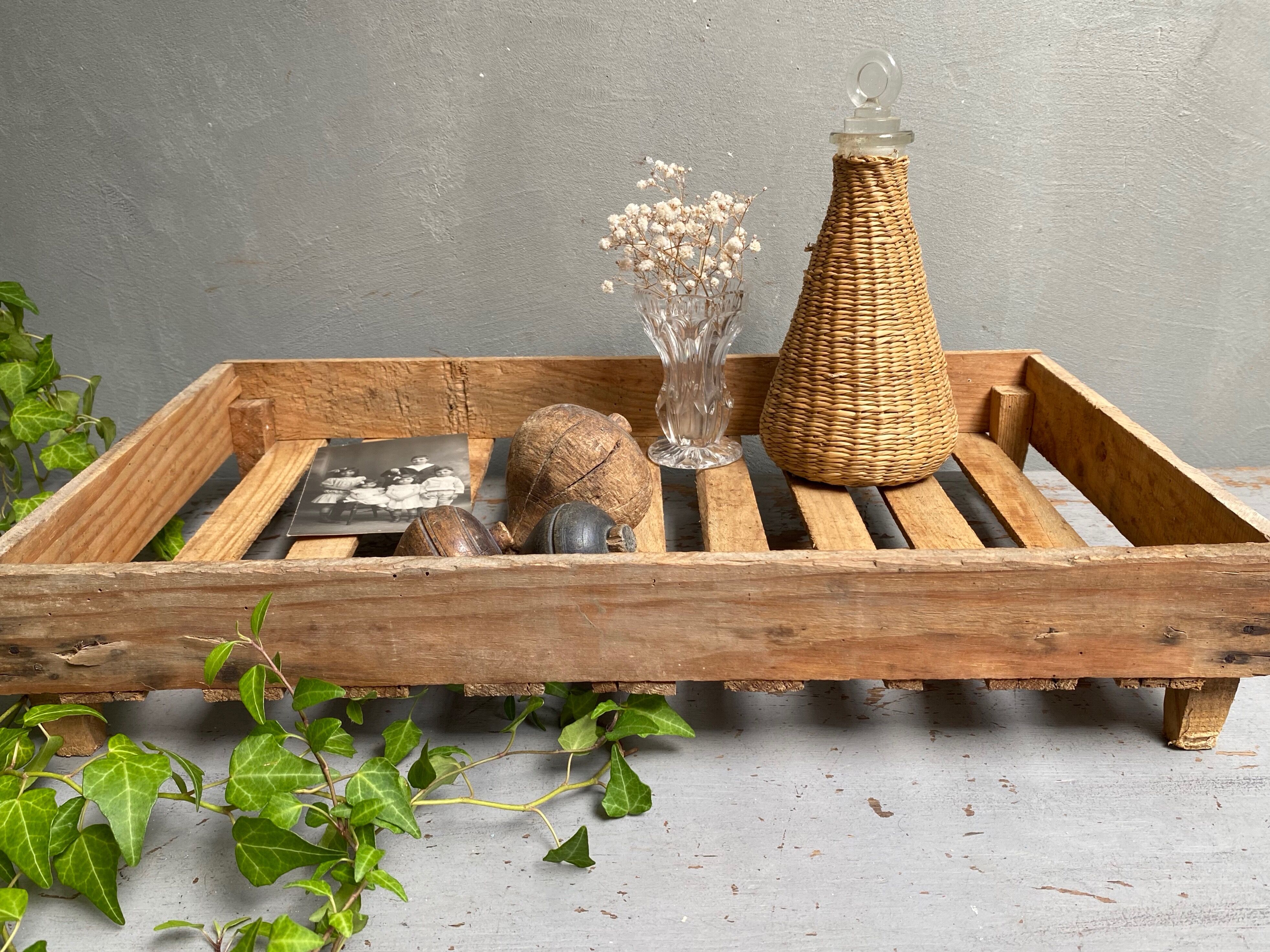 Market gardener tray