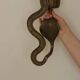 Pair of Egyptian Revival Style Engraved Brass Cobra Sconces