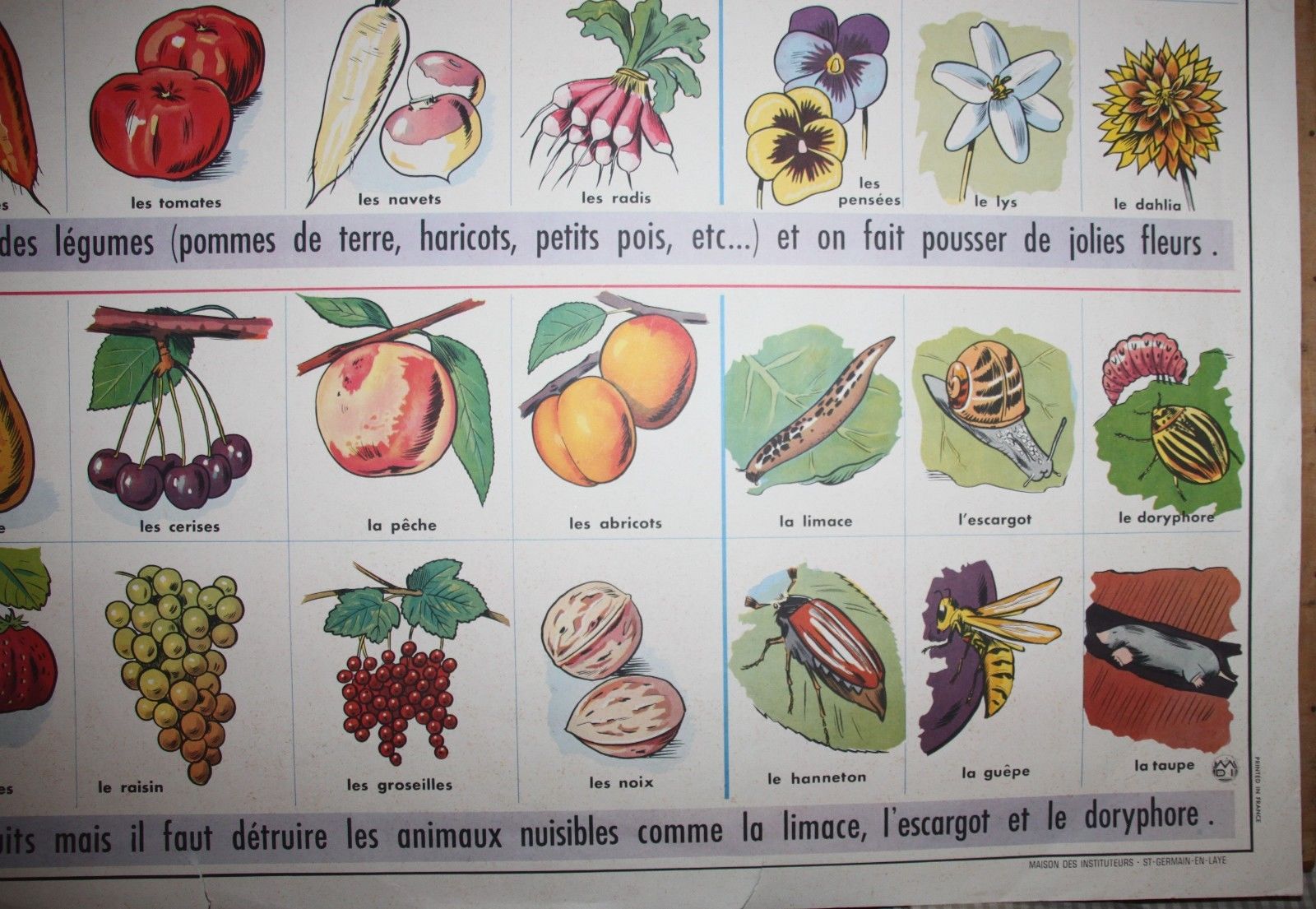 Poster school vintage MDI in the fields and garden 47 and 48