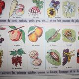 Poster school vintage MDI in the fields and garden 47 and 48