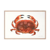 "Billie", the crab, art print 21/29.7 cm
