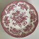 Lot de 8 assiettes faïence Wedgwood modèle faisan asiatique rose
