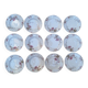 Lot d'assiettes plates et creuses Haviland Limoges XIXème