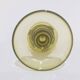Roemer glass / Theresienthal / Michael von Poschinger / Germany / early 20t