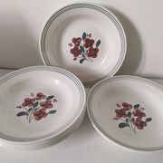 7 Salins Odile soup plates – raspberry flowers & blue border