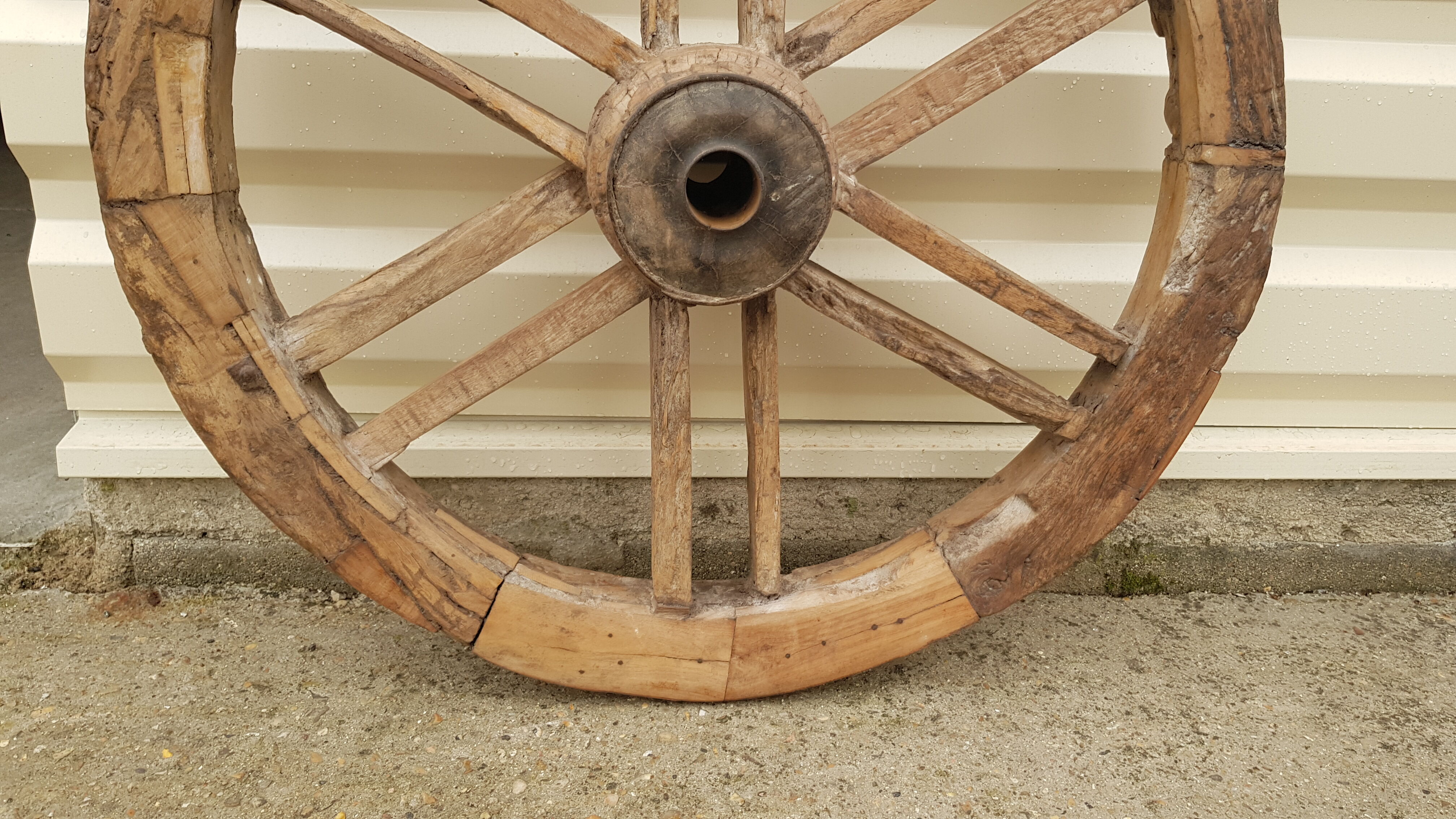 Old teak plow wheel