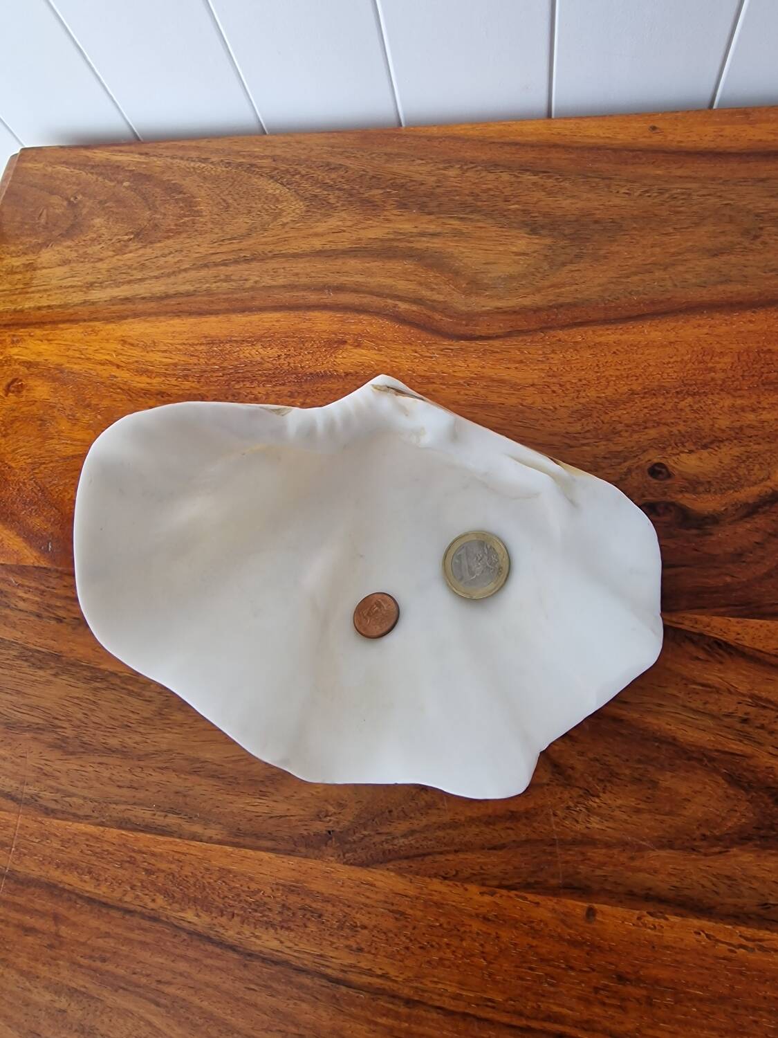 Seashell trinket dish