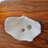 Shell holy water font emptier