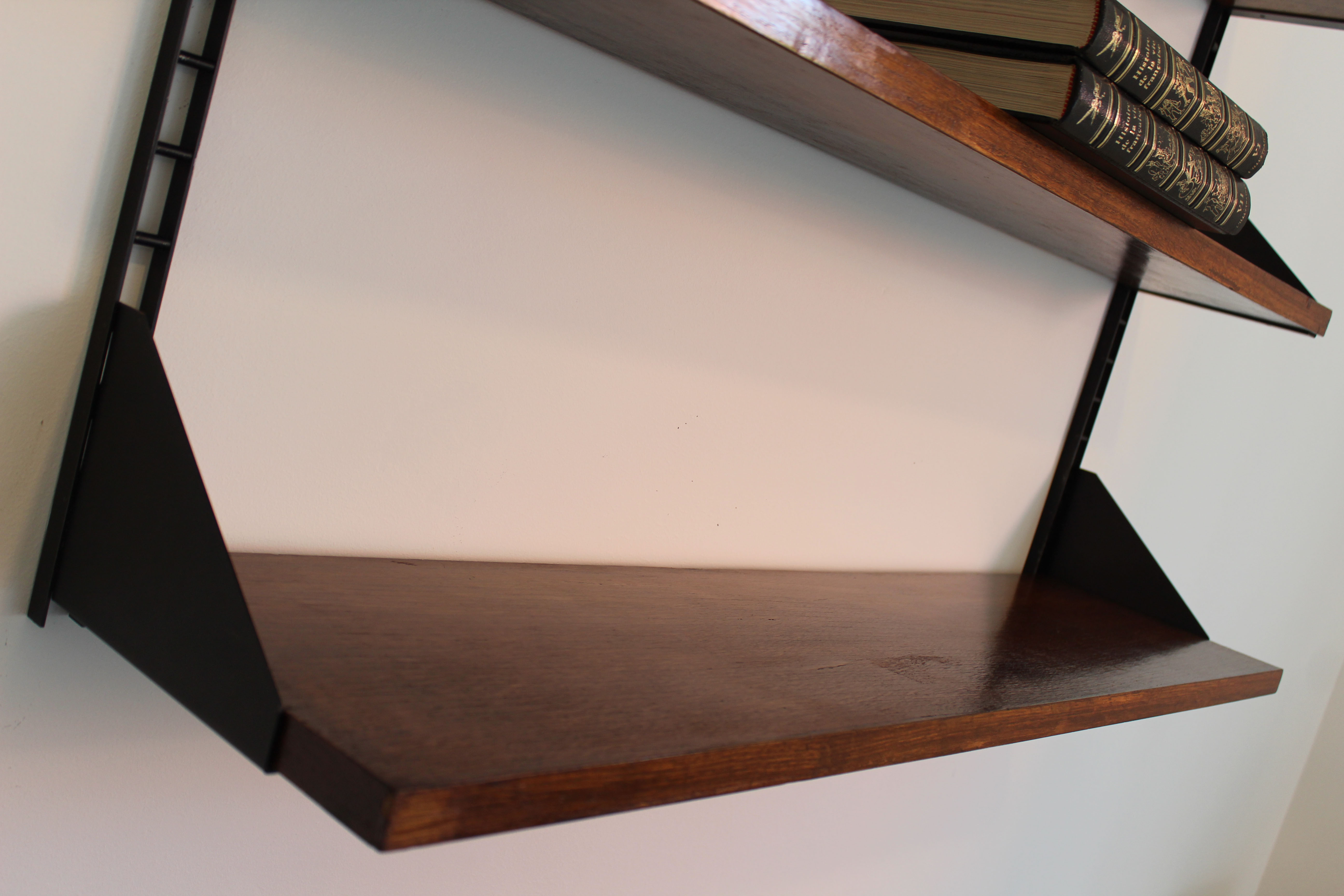 Shelves in rosewood and black lacquered metal from the 50s